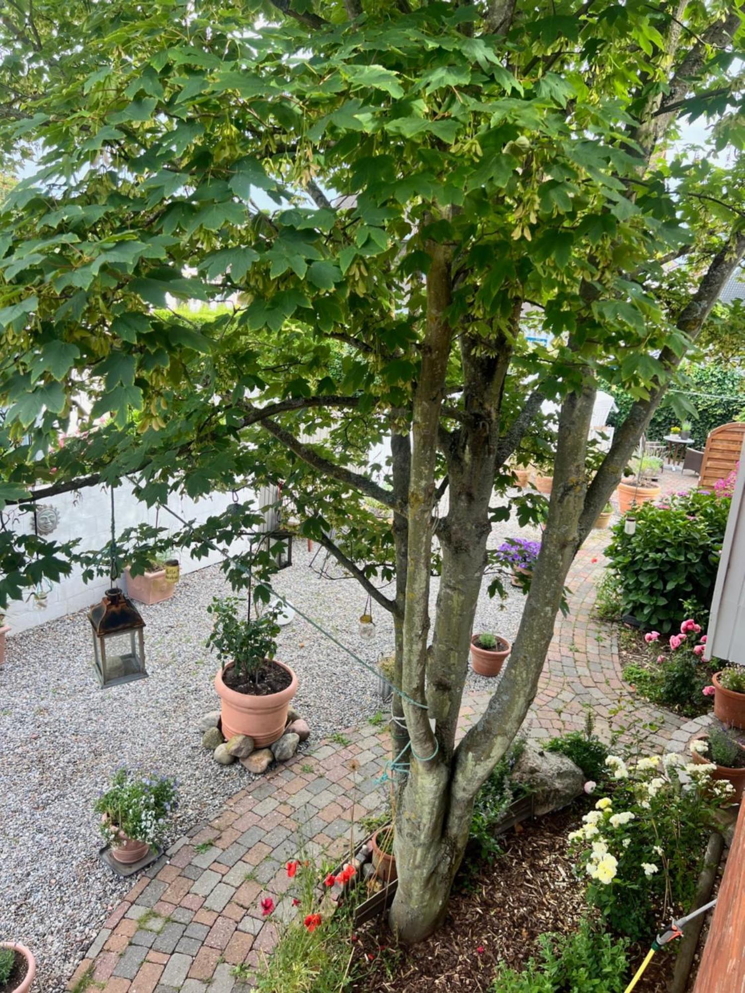 Apartament Sylt Island House Westerland Zewnętrze zdjęcie